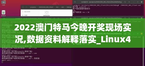 2022澳门特马今晚开奖现场实况,数据资料解释落实_Linux4.450