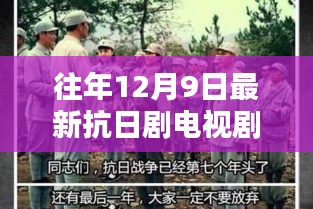 往年12月9日热门抗日题材电视剧概览与剧情大全