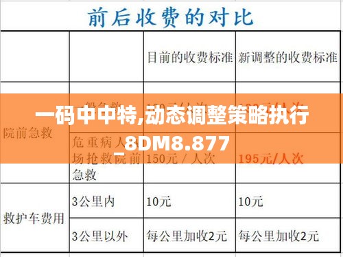 一码中中特,动态调整策略执行_8DM8.877