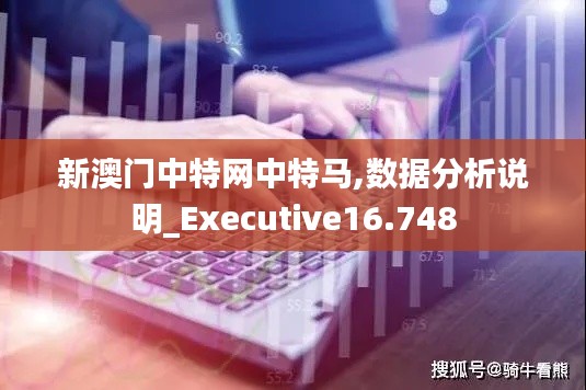 新澳门中特网中特马,数据分析说明_Executive16.748