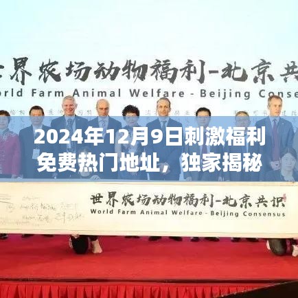 2024年12月9日刺激福利免费热门地址，独家揭秘，2024年12月9日刺激福利免费热门地址全方位测评报告