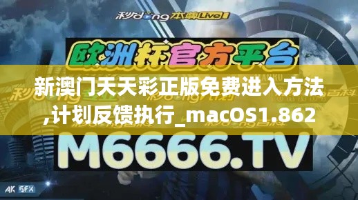 新澳门天天彩正版免费进入方法,计划反馈执行_macOS1.862