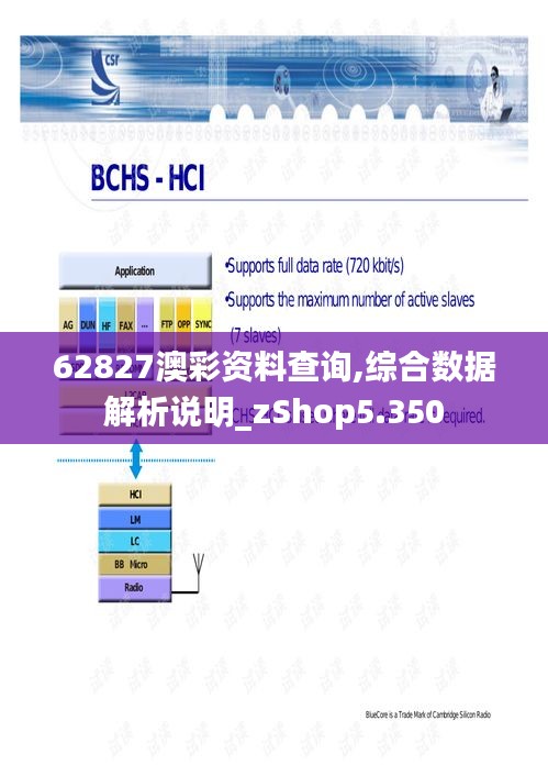 62827澳彩资料查询,综合数据解析说明_zShop5.350