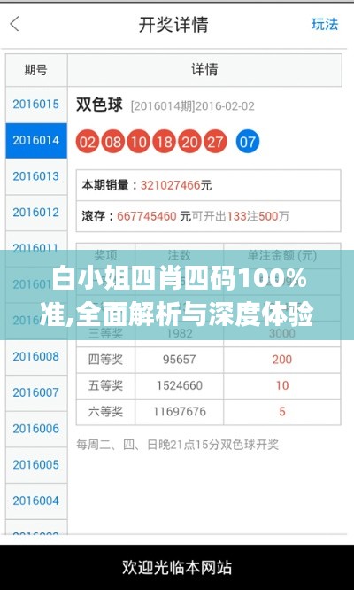 白小姐四肖四码100%准,全面解析与深度体验_限定版6.819