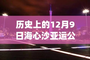 海心沙亚运公园，十二月九日的心灵与自然之旅