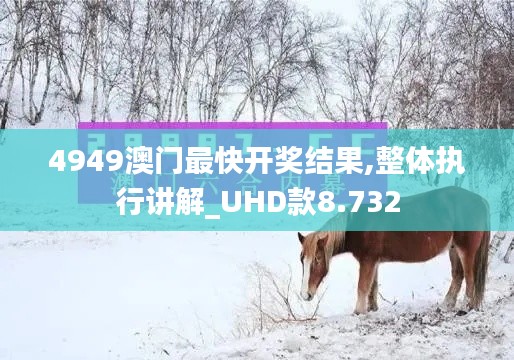 4949澳门最快开奖结果,整体执行讲解_UHD款8.732