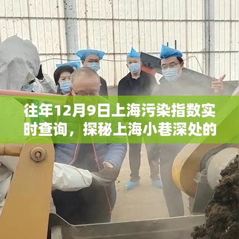 探秘上海环保秘境，污染指数背后的特色小店，历年12月9日实时查询指南