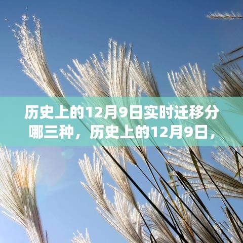 历史上的12月9日，变迁形态揭秘与激发学习潜能，自信照亮人生舞台的三大形态