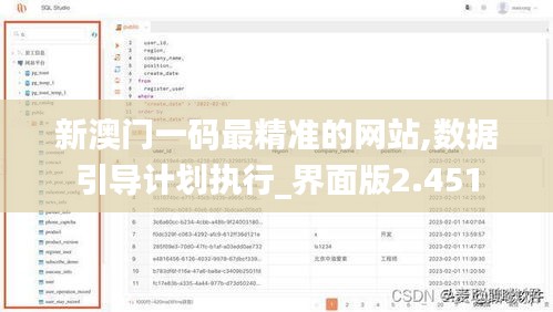新澳门一码最精准的网站,数据引导计划执行_界面版2.451