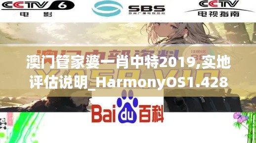 澳门管家婆一肖中特2019,实地评估说明_HarmonyOS1.428