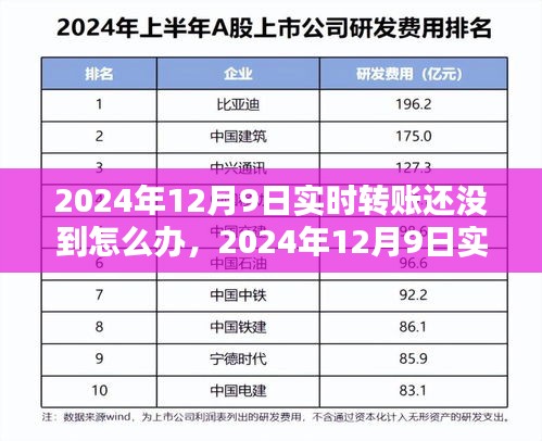 2024年12月9日实时转账延迟解析与应对策略