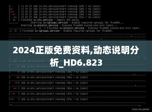 2024正版免费资料,动态说明分析_HD6.823