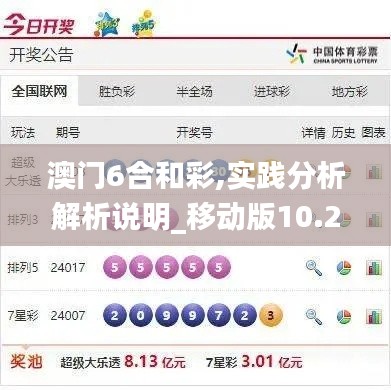 澳门6合和彩,实践分析解析说明_移动版10.252