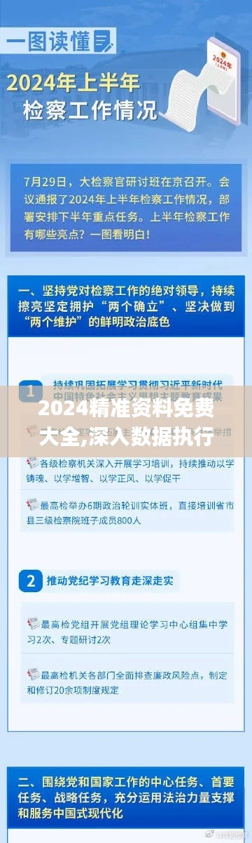 2024精准资料免费大全,深入数据执行应用_XE版8.410