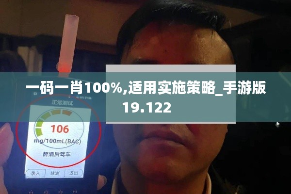 一码一肖100%,适用实施策略_手游版19.122