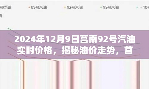 揭秘莒南地区2024年12月9日92号汽油实时价格及走势分析