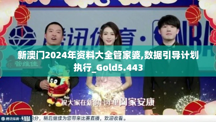 新澳门2024年资料大全管家婆,数据引导计划执行_Gold5.443