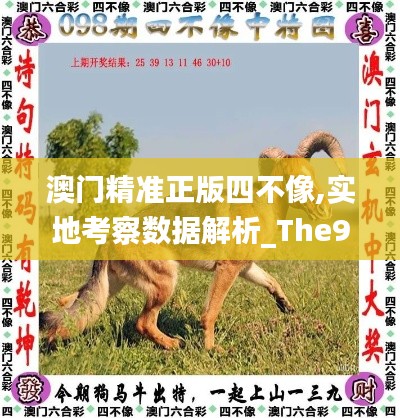 澳门精准正版四不像,实地考察数据解析_The9.251