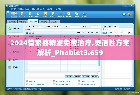 2024管家婆精准免费治疗,灵活性方案解析_Phablet3.659