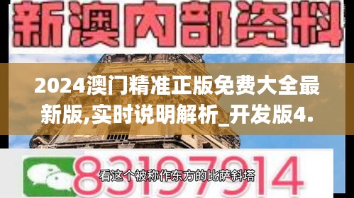 2024澳门精准正版免费大全最新版,实时说明解析_开发版4.206