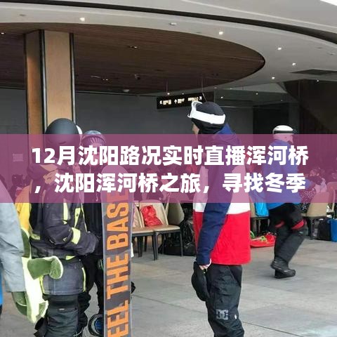 沈阳浑河桥冬季路况实时直播，探寻静谧美景之旅