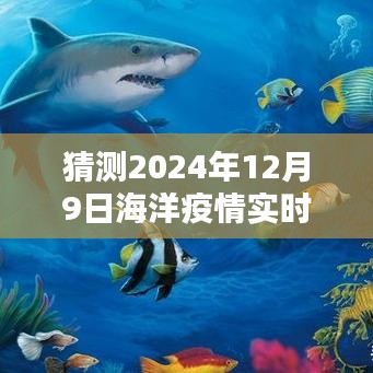 2024年12月9日海洋疫情实时数据最新全面解读与深度评测