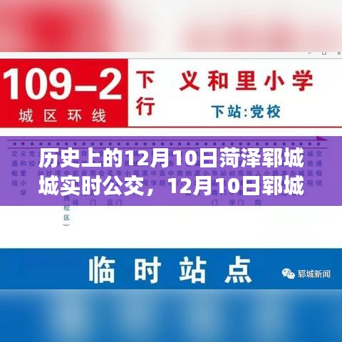 菏泽郓城公交之旅，追寻自然美景与内心平静之道（12月10日实时公交指南）