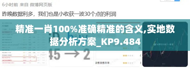 精准一肖100%准确精准的含义,实地数据分析方案_KP9.484