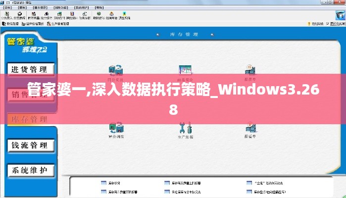 管家婆一,深入数据执行策略_Windows3.268