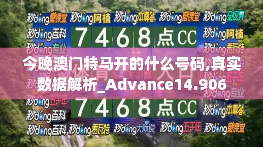 今晚澳门特马开的什么号码,真实数据解析_Advance14.906