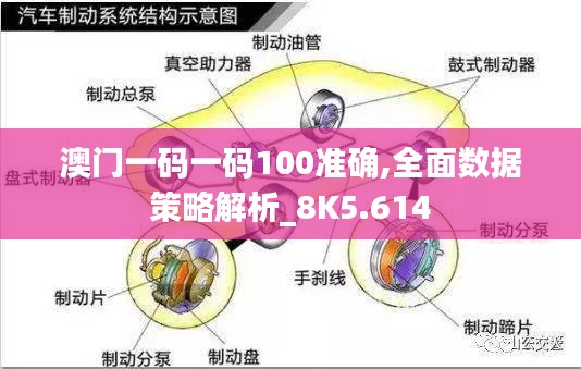 澳门一码一码100准确,全面数据策略解析_8K5.614