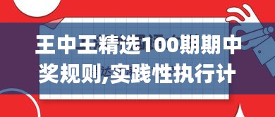 王中王精选100期期中奖规则,实践性执行计划_X版3.268