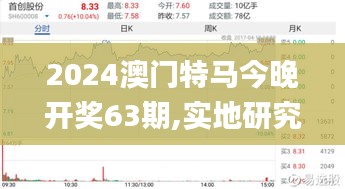 2024澳门特马今晚开奖63期,实地研究解析说明_领航款7.454