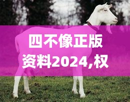 四不像正版资料2024,权威诠释方法_策略版1.770