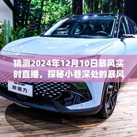 独家揭秘，探秘小巷深处的暴风之眼——2024年暴风直播日实录猜想