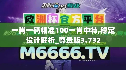 一肖一码精准100一肖中特,稳定设计解析_尊贵版3.732