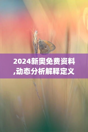 2024新奥免费资料,动态分析解释定义_MP3.658