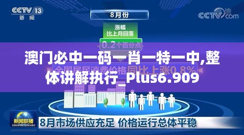 澳门必中一码一肖一特一中,整体讲解执行_Plus6.909