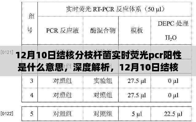 深度解析，结核分枝杆菌实时荧光PCR阳性检测的意义与解读（12月10日更新）