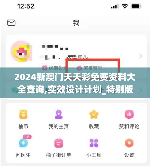 2024新澳门天天彩免费资料大全查询,实效设计计划_特别版2.433