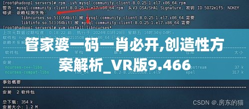 管家婆一码一肖必开,创造性方案解析_VR版9.466