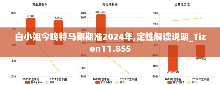 白小姐今晚特马期期准2024年,定性解读说明_Tizen11.855