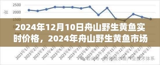 聚焦实时动态，2024年舟山野生黄鱼市场趋势分析与实时价格解读