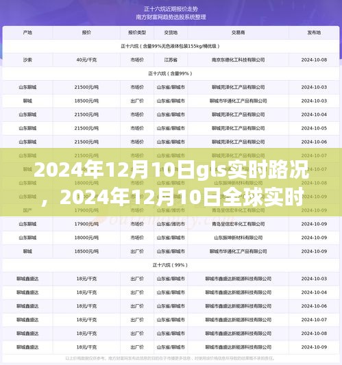 2024年12月10日全球实时路况概览，聚焦GLS系统