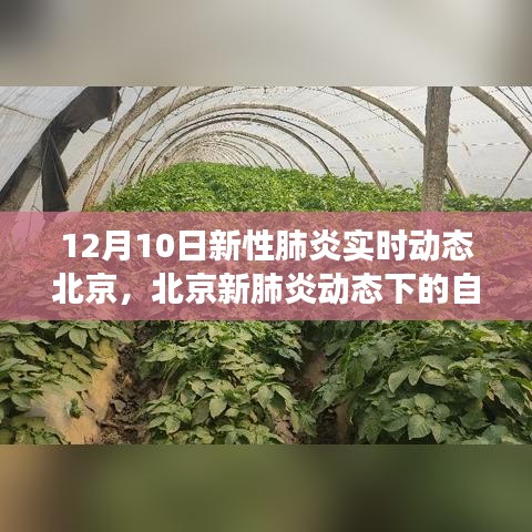 北京新肺炎动态下的自然探索与心灵冒险之旅