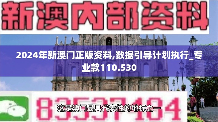 2024年新澳门正版资料,数据引导计划执行_专业款110.530