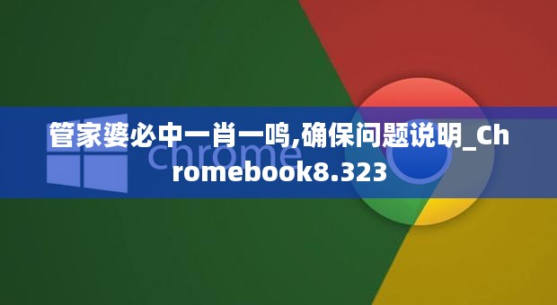 管家婆必中一肖一鸣,确保问题说明_Chromebook8.323