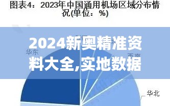 2024新奥精准资料大全,实地数据评估解析_PalmOS2.449