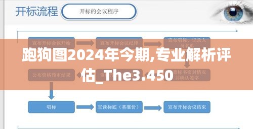 跑狗图2024年今期,专业解析评估_The3.450