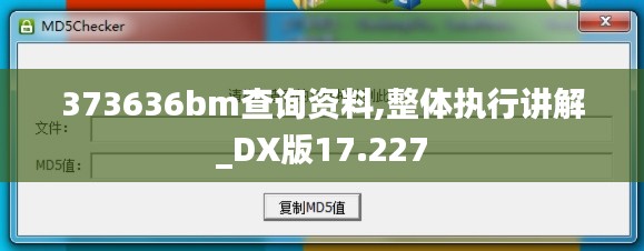 373636bm查询资料,整体执行讲解_DX版17.227